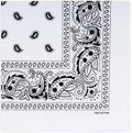 Raylarnia Bandana Multi-Purpose 100% Cotton Headbands for Women, 22 inch Paisley Cowboy Bandanas for Men - color: White