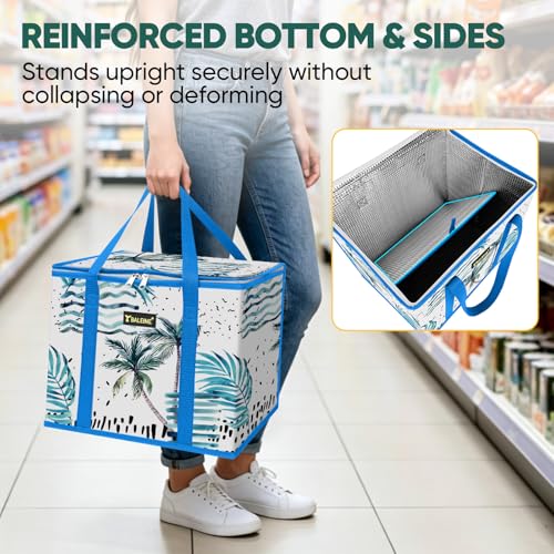 BALEINE 1Pk Insulated Reusable Grocery Bags, Foldable Shopping Bags for Groceries with Reinforced Bottom & Handles (Island Breeze) - color: Island Breeze, size: 1 Pack (Insulated)