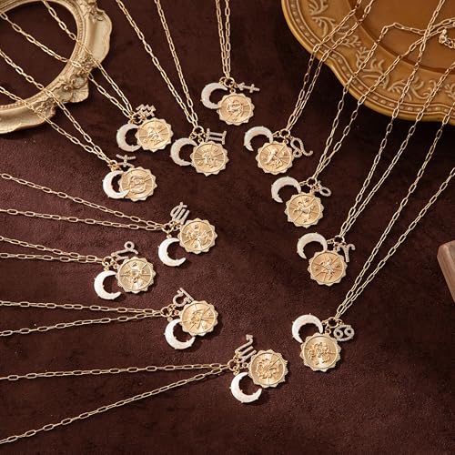 Dainty Gold Zodiac Embossed Coin Opal Crescent Moon Charm Necklace for Women Trendy 18K Gold Plated Retro Paperclip Chain 12 Constellation Horoscope Necklaces Astrology Jewelry Gifts - style: 5.LEO (JUL 23-AUG 22)