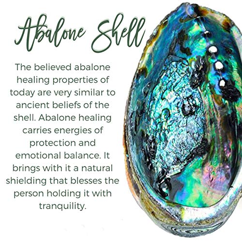 sedmart Tear Drop Abalone Shell Pendent Necklace Wire Wrap Abalone Shell Tree of Life Pendant Necklace Fashion Necklace Jewelry for Women handmade necklace mothers day necklace for mom jewelry - color: A1 Silver Abalone