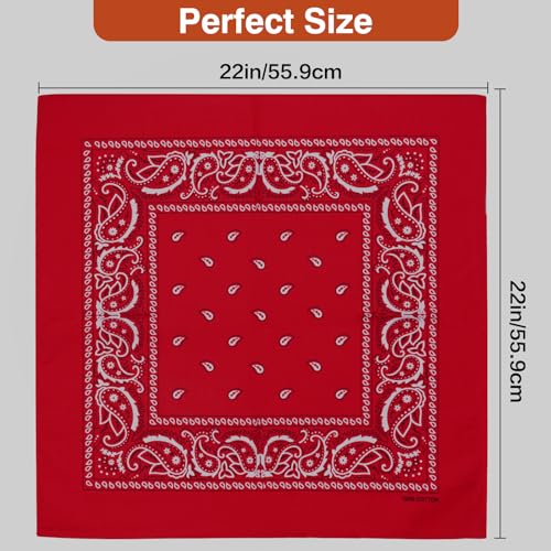 Raylarnia 100% Cotton Large Bandanas for Men and Women, 22 Inch Paisley Bandana with Multiple Colors - color: White/Red/Royal Blue