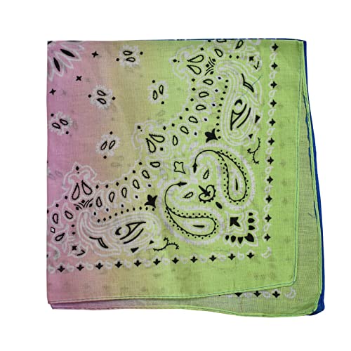 NYFASHION101 Unisex Double Sided Print Paisley Cotton Bandana Head Wrap Scarf - color: Lime Fade