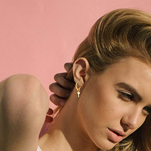 XYJZXY Gold Huggie Small Hoop Earrings with Charm Personalized Snake/Evil Eye/Star/Cross/Lock/Key 18k Gold Plated Crystal Drop Dangle Earrings for Women - style: Key
