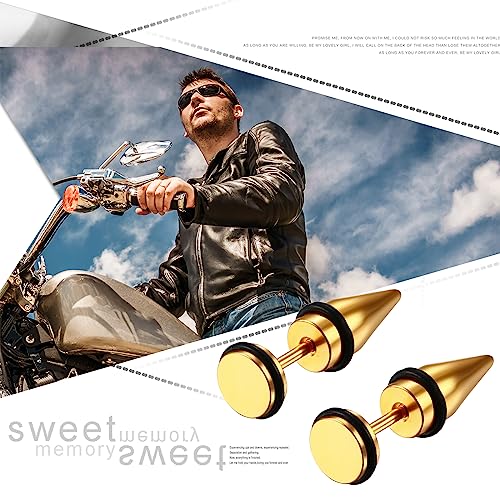 Aroncent 12PCS Stainless Steel Fake Tapers Mens Earrings Illusion Tunnel Cheater Piercing Jewelry Set for Men Women - color: A5