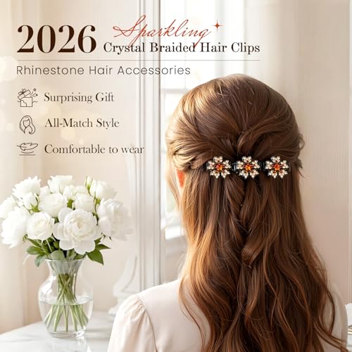 Sparkling Crystal Stone Braided Hair Clips, 2026 New Rhinestone Hair Clips Hair Braid Clips, Girls/Women Hair Accessories for Styling Sectioning (14#) - color: 14#