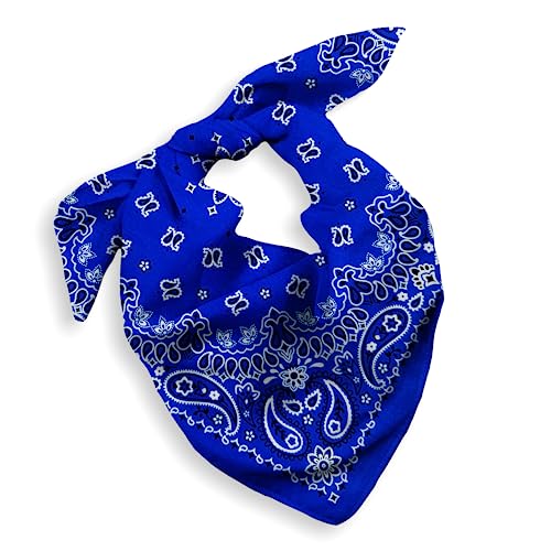 Gift Packaging Bandana for Men Women - 100% Cotton, Paisley, 22x22 In, 1 Pack - Large Bandanna Handkerchief Cowboy Hanky - color: Royal Blue