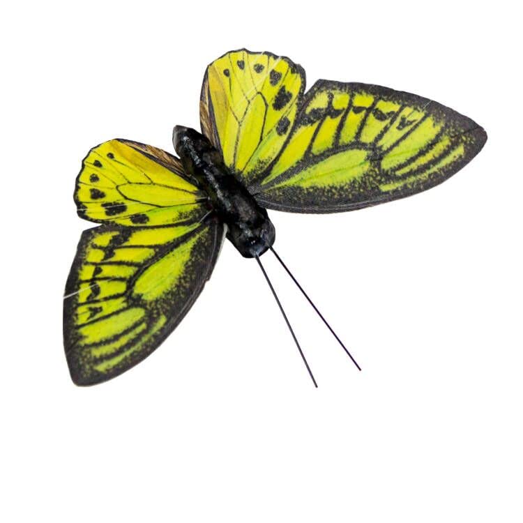 Berfutall- Feather Butterfly Decorations Set of 6 Vibrant Multi Colored Craft Butterflies on Clip .Party Spring Home Decor Floral Pics.St.Patrick'sDay - color: Green H