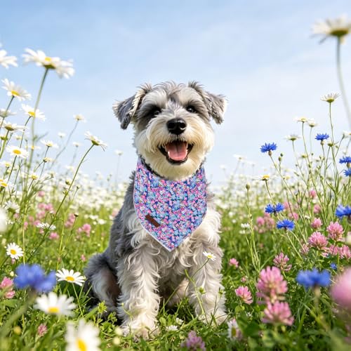 Lionet Paws Spring Summer Oxalis Dog Bandana Washable Cotton Handkerchief Scarf Triangle Blue Flower Bandana for Small Medium Dogs Girl Boy - color: Blue Floral, size: Small (Pack of 1)