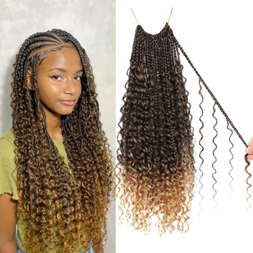 Goddess Boho Box Braids Crochet Hair-8 Packs 18 Inch Crochet Box Braids for Black Women Pre Looped (T27, 18 Inch (Pack of 8)) - color: T27, size: 18 Inch (Pack of 8)