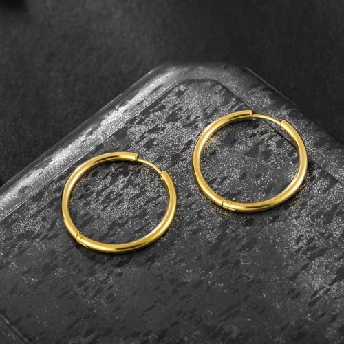 Stainless Steel Hoop Earrings for Women Gold Tone Geometric, Huggie Heart Twisted Minimalist Engraved Designs for Daily Wear - color: Gold-Heart02_25mm*25mm