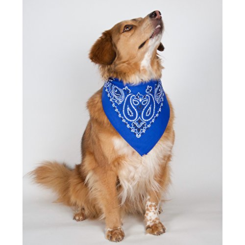 Bandana 3-Pack - Made in USA For 70 Years - Sold by Vets - 100% Cotton - Sewn Edges - color: Royal Blue 3 Pack