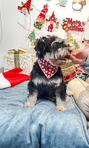 Lionet Paws Christmas Dog Bandana Washable Cotton Handkerchief Scarf Triangle Bandana for Small Medium Large Dogs Santa Claus Girl Boy - color: Santa Claus, size: Small (Pack of 1)