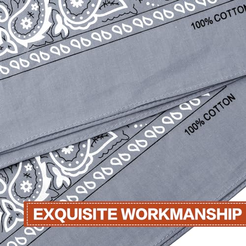 Raylarnia Bandana Multi-Purpose 100% Cotton Headbands for Women, 22 inch Paisley Cowboy Bandanas for Men - color: Light Grey