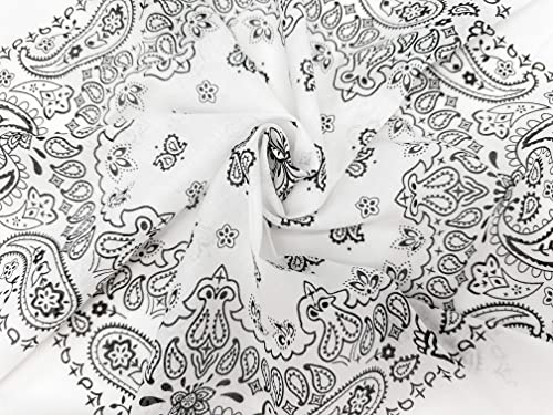 Bandana Single Pack Soft Thin 27 inch Cotton Paisley Extra Large Headwear - color: White