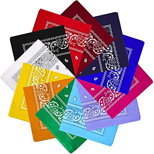 Blulu 12 Pack Neon Bandanas Bulk Multi Purpose Paisley Cowboy Bandanas for Men Women Headband Western Music Festival Rave - color: Multicolor