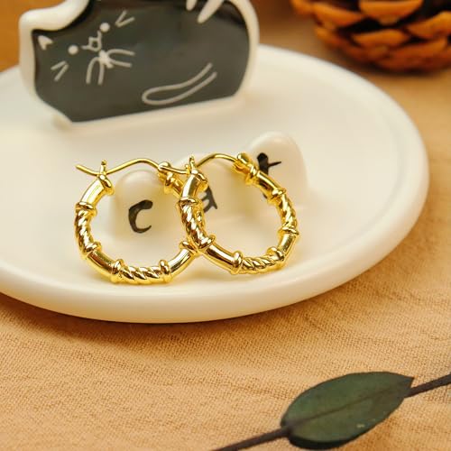 ToHeart Gold Hoop Earrings for Women Twist Hoop Earrings Gold Plated - style: Hoop Earrings C