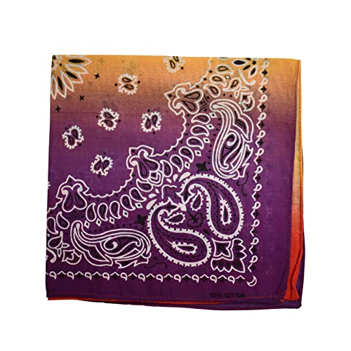 NYFASHION101 Unisex Double Sided Print Paisley Cotton Bandana Head Wrap Scarf - color: Multi Fade