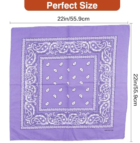 Raylarnia 100% Cotton Large Bandanas for Men and Women, 22 Inch Paisley Bandana with Multiple Colors - color: Dark Purple/Purple/Lavender