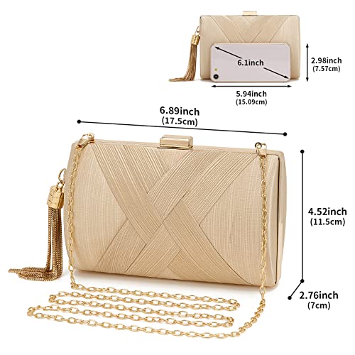 Women Clutch Bag Evening bag Fringed Evening Handbag,Lady Party Wedding Clutch Purse Chain Shoulder Cross Body Bag - color: Champagne