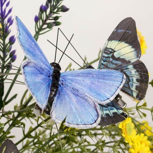Berfutall-Artificial Feather 3D Butterfly Party Decorations Set of 12 with Clip 12 Color Ornaments for Christmas Tree - color: A Clip