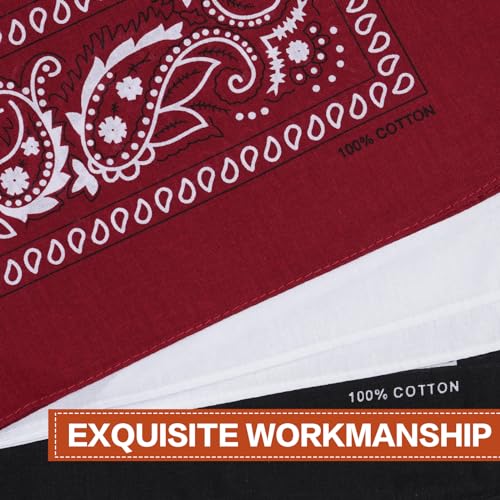 Raylarnia 100% Cotton Large Bandanas for Men and Women, 22 Inch Paisley Bandana with Multiple Colors - color: Black / White / Burgundy