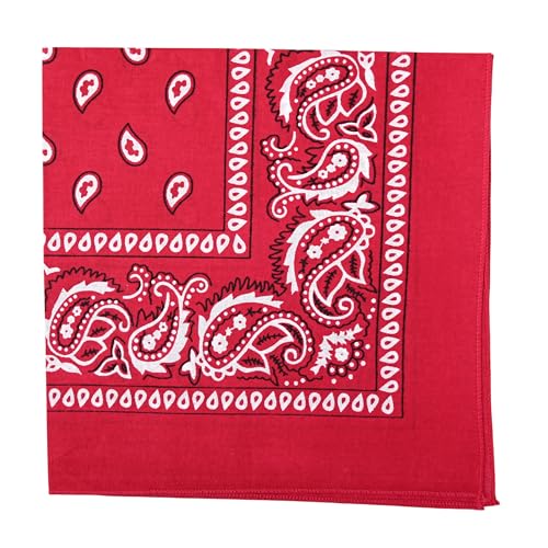 Motique Accessories 22 Inch Cotton Paisley Bandana - color: Hot Pink