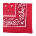 Motique Accessories 22 Inch Cotton Paisley Bandana - color: Hot Pink
