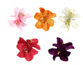 5Pcs Colorful Artificial Flower Hair Clip, Bohemian Flower Hairpin Hawaiian Hibiscus Plumeria Hairpin for Seaside Holiday, Bridal Hair Accessories Headwear, Clips and Barrettes, Hair Accessories