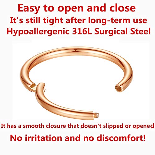 ORANGELOVE Hypoallergenic Nose Rings 20G 18G 16G 14G 12G 10G 8G 316l Surgical Steel Septum Jewelry Hinged Segment Ring Body Piercing Nose Hoop Lip Rings Nose Helix Cartilage Rook Earrings - color: Rose Gold, size: 1pc 16 Gauge 6mm