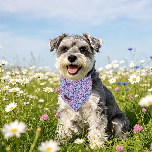 Lionet Paws Spring Summer Oxalis Dog Bandana Washable Cotton Handkerchief Scarf Triangle Blue Flower Bandana for Small Medium Dogs Girl Boy - color: Blue Floral, size: Small (Pack of 1)