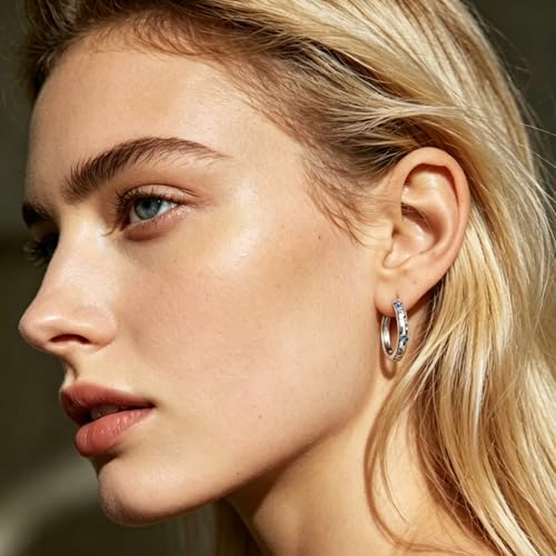 Parmuz 925 Sterling Silver Earrings Hoops for Women Ladies Simple Lightweight Twisted Medium Hoop Earrings With Cubic Zirconia Hypoallergenic Jewelry for Her - color: shining butterfly earring