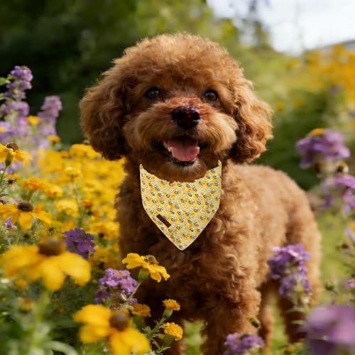 Lionet Paws Spring Summer Bee Dog Bandana Washable Cotton Handkerchief Scarf Triangle Yellow Bandana for Small Medium Dogs Girl Boy - color: Cute Bee, size: Small (Pack of 1)