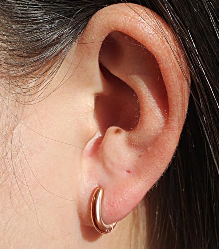316L Surgical Stainless Steel Huggie Hoop Earrings with Cubic Zirconia, 10G 12G 14G 8-20mm Cartilage Lobe Earrings, 14G Piercing Jewelry - style: 10G 8mm Rose Gold