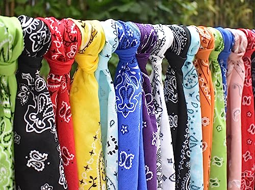 Gift Packaging Bandana for Men Women - 100% Cotton, Paisley, 22x22 In, 1 Pack - Large Bandanna Handkerchief Cowboy Hanky - color: Black Orange White