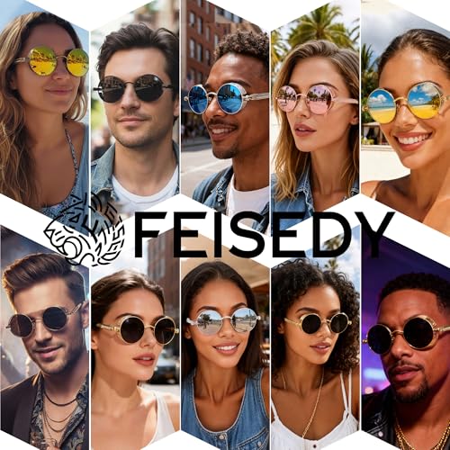 FEISEDY Retro Gothic Steampunk Sunglasses Round Metal Frame Punk Circle Inspired Shade Men B1857 - color: Bronze/Tea