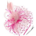 DRESHOW Fascinators Hat Flower Mesh Ribbons Feathers on a Headband and a Clip Tea Party Headwear for Girls and Women - color: 7" Diameter / Dark Pink & Light Pink