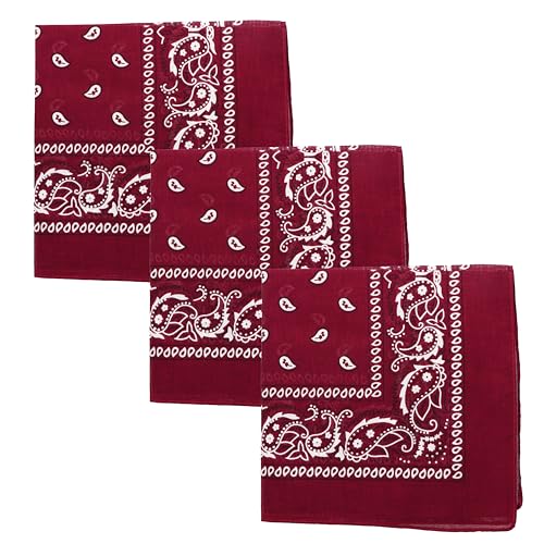Motique Accessories Set of 3 Paisley Bandanas – 100% Cotton 22 Inch Head Scarf Neck Bandana Face Cover - color: Dark Red