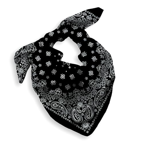 Gift Packaging Bandana for Men Women - 100% Cotton, Paisley, 22x22 In, 1 Pack - Large Bandanna Handkerchief Cowboy Hanky - color: Black