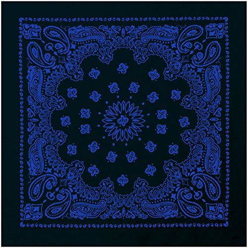 Rothco Trainmen Paisley Bandana - Standard - 22" X 22" - color: Black/Blue