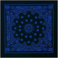 Rothco Trainmen Paisley Bandana - Standard - 22" X 22" - color: Black/Blue