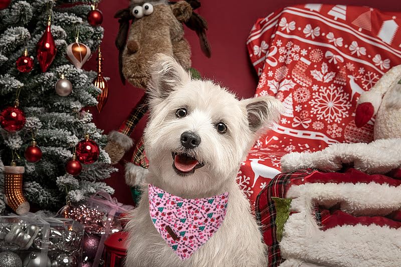 Lionet Paws Cotton Christmas Dog Bandanas Pink,Gloves Tree Comfortable Dog Bandana Bibs Scarf Dogs Kerchief,Autumn Scarves for Small Medium Dogs Pets - color: Ornaments, size: Small (Pack of 1)