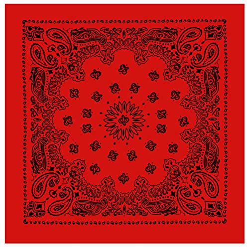 Rothco Trainmen Paisley Bandana - Standard - 22" X 22" - color: Red/Black