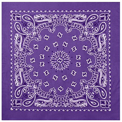 Rothco Trainmen Paisley Bandana - Standard - 22" X 22" - color: Purple