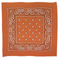 Burnt Orange Paisley Bandana - Single Piece 22x22