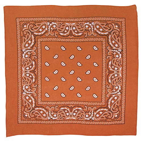 Burnt Orange Paisley Bandana - Single Piece 22x22
