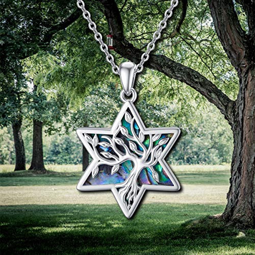 ONEFINITY Tree of Life Necklace 925 Sterling Silver Abalone Shell Celtic Knot Pendant Necklace for Women Jewelry - style: Star of David Tree