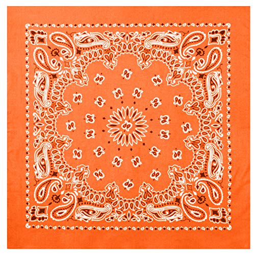 Rothco Trainmen Paisley Bandana - Standard - 22" X 22" - color: Orange