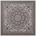 Rothco Trainmen Paisley Bandana - Standard - 22" X 22" - color: Grey