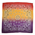 NYFASHION101 Unisex Double Sided Print Paisley Cotton Bandana Head Wrap Scarf - color: Multi Fade