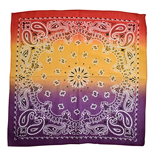 NYFASHION101 Unisex Double Sided Print Paisley Cotton Bandana Head Wrap Scarf - color: Multi Fade